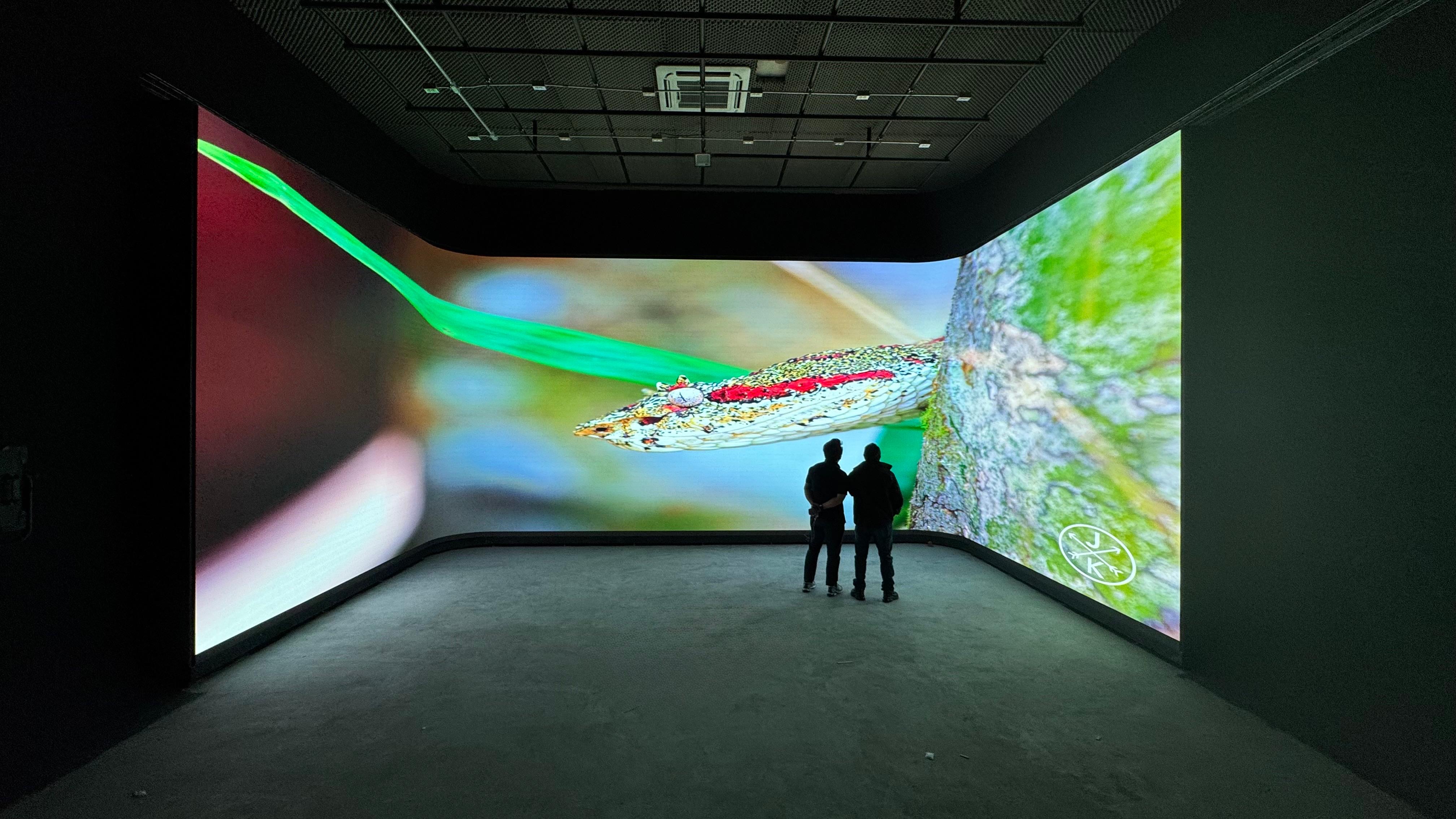 Pantalla LED de gran formato en instalación interior inmersiva